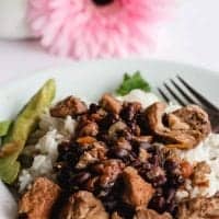 Plate tomatillo and pork stew over rice
