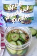Jars of homemade refrigerator sandwich pickles