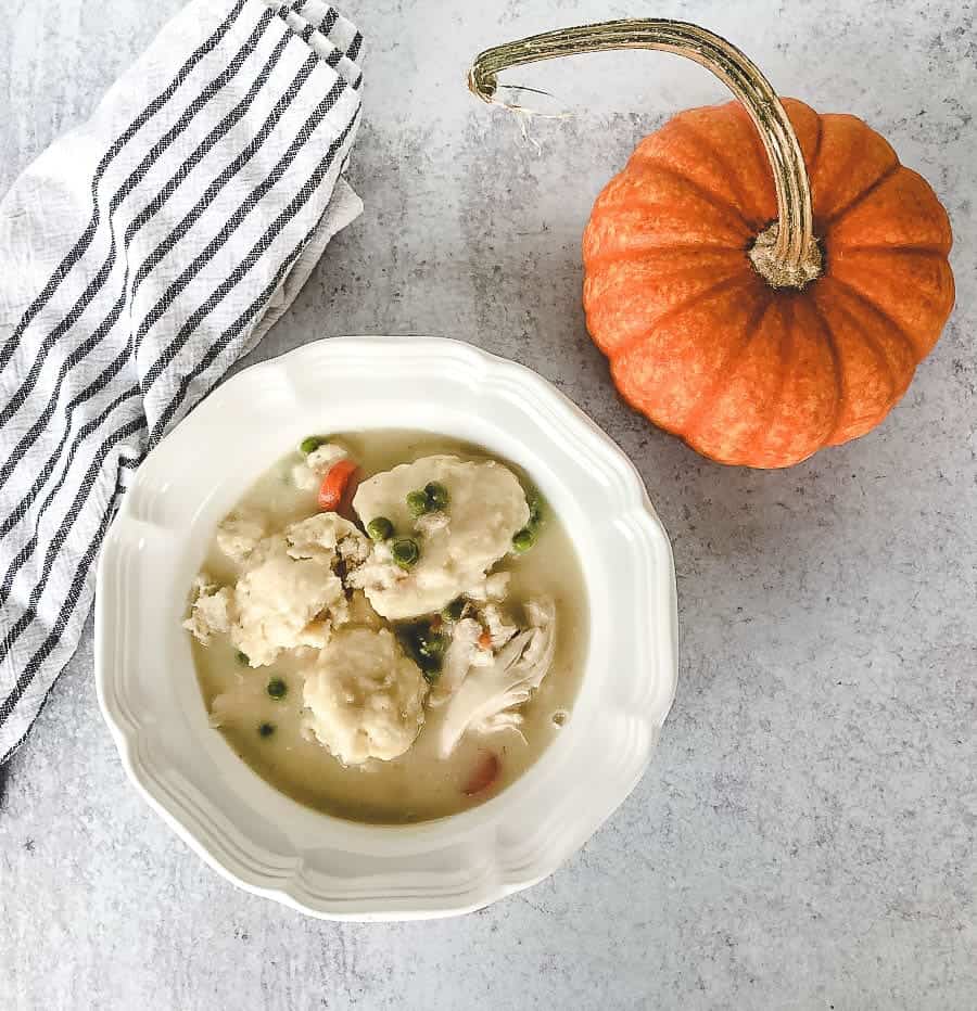 chicken and dumpling stew in bowl