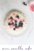 mini vanilla cakeon plate