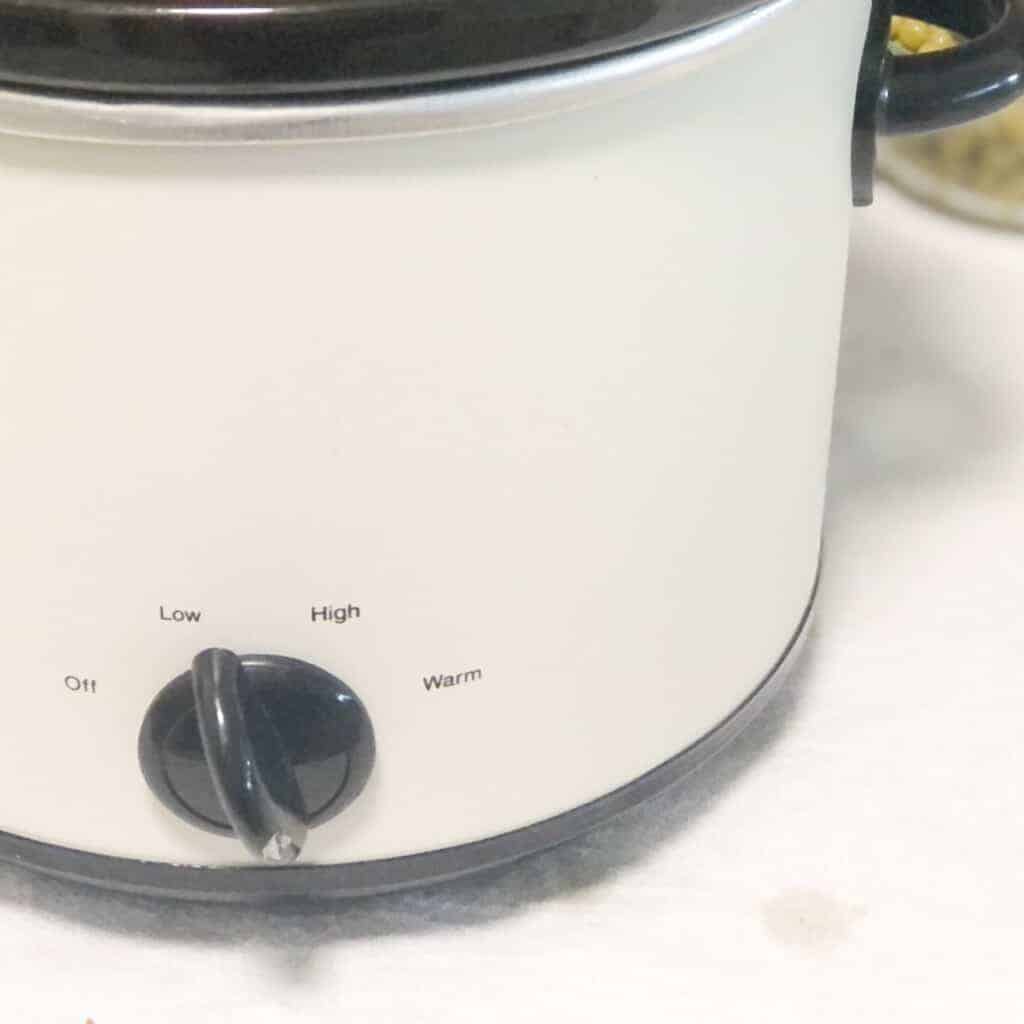 3-quart-slow-cooker-on-low-setting