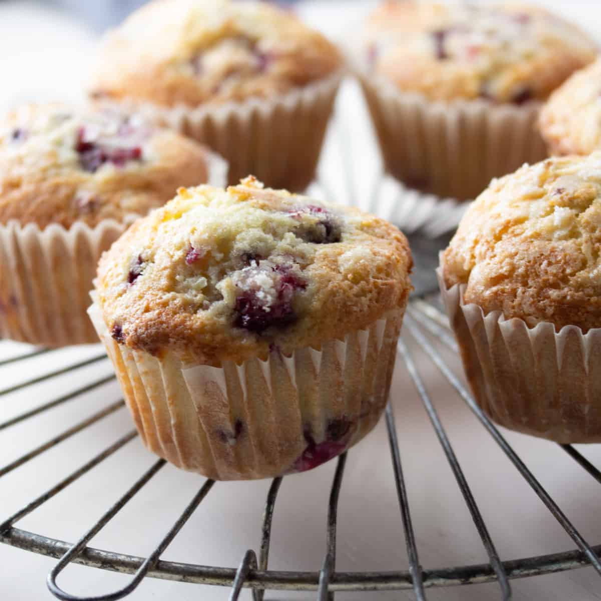 Small Batch Blackberry Muffins Recipe