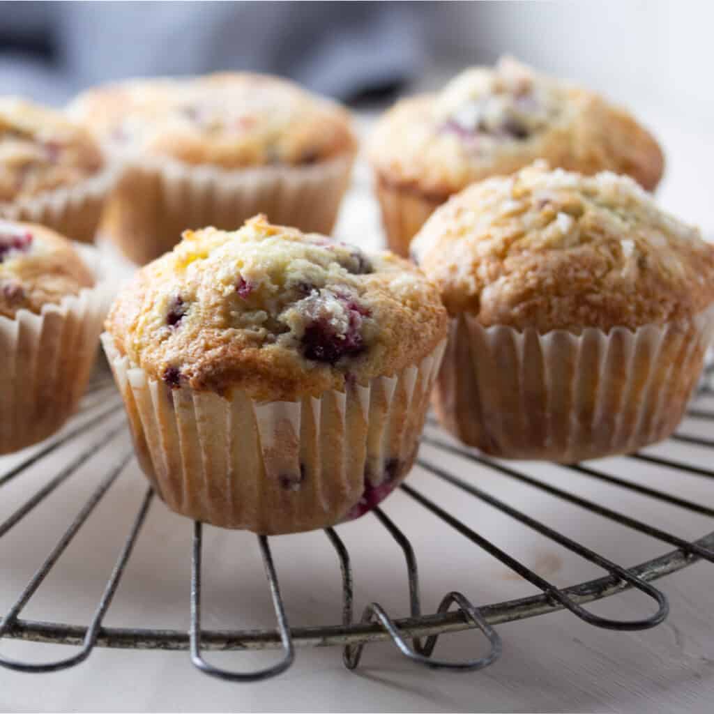 Small Batch Blackberry Muffins Recipe