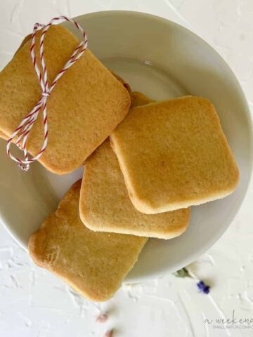 overhead view of place of square french shortbread cookies