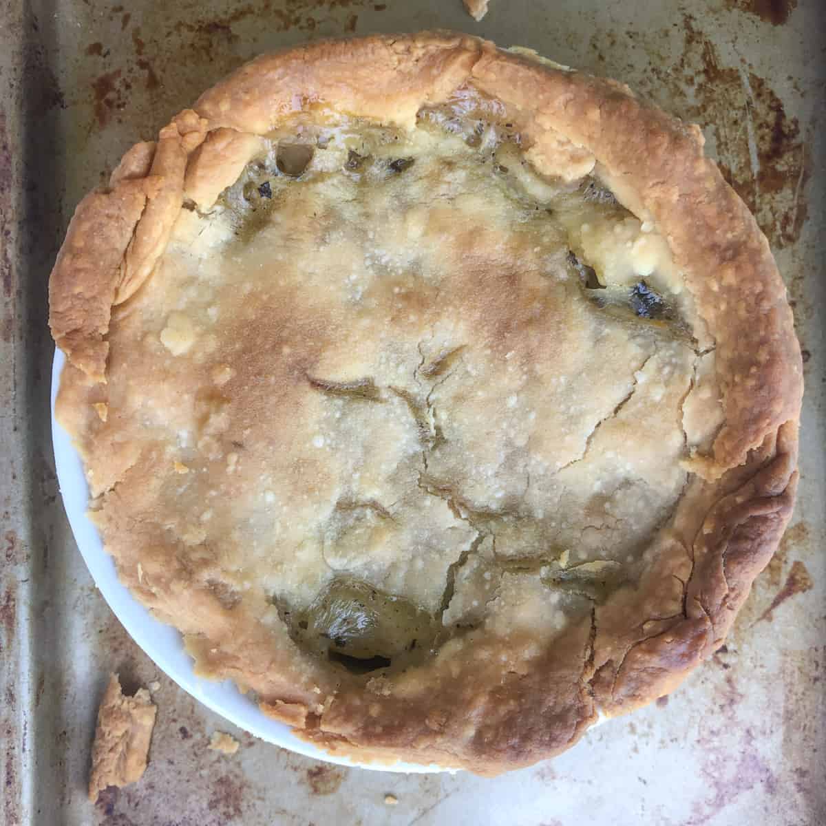 Baked chicken pot pie  in a ramekin on baking sheet.