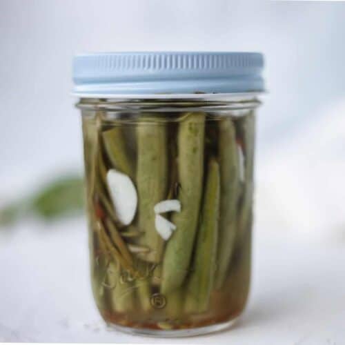 Quick Pickled Green Beans Recipe • A Weekend Cook®