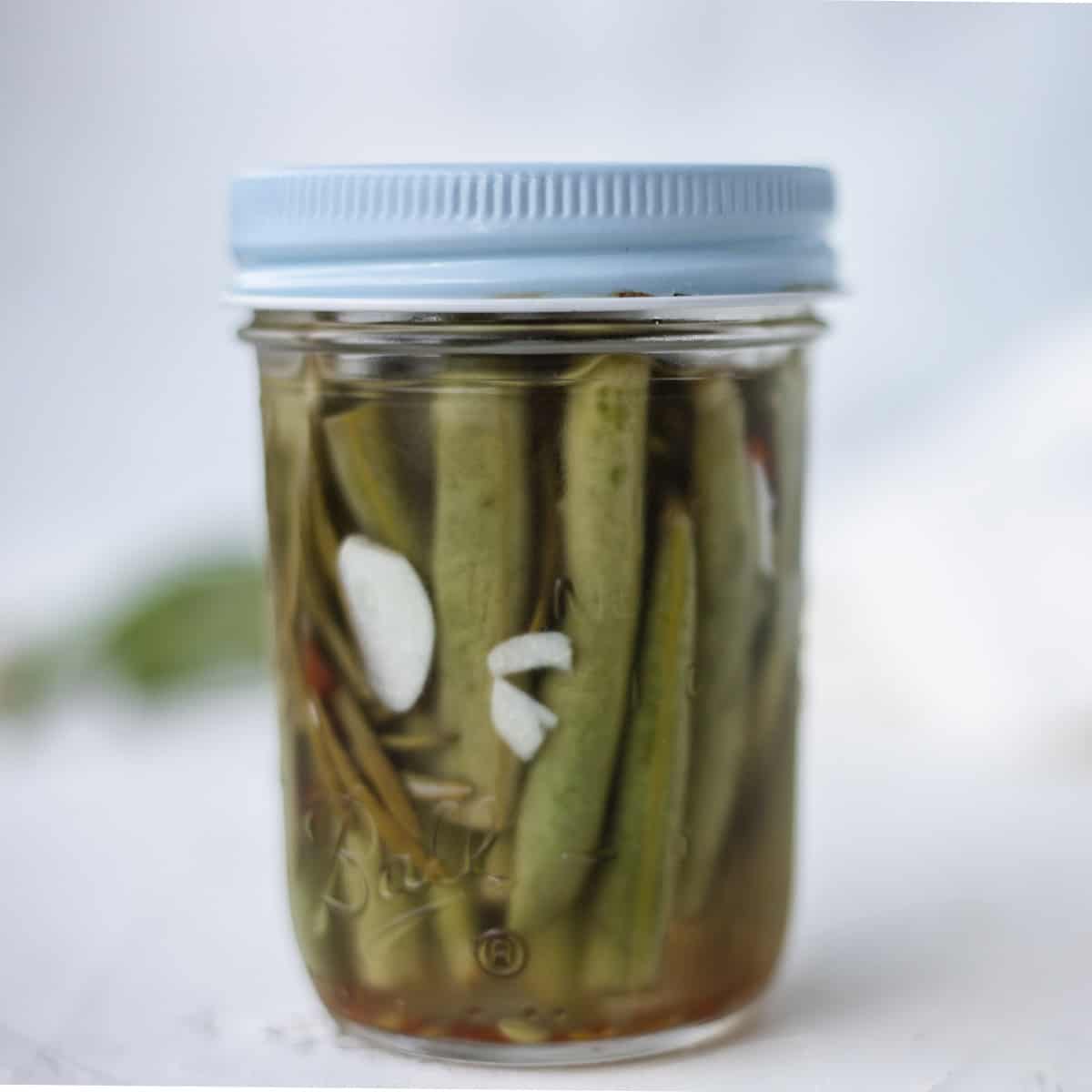 Quick Pickled Green Beans Recipe