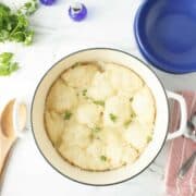 Close up view of chicken and dumplings in white dutch oven.