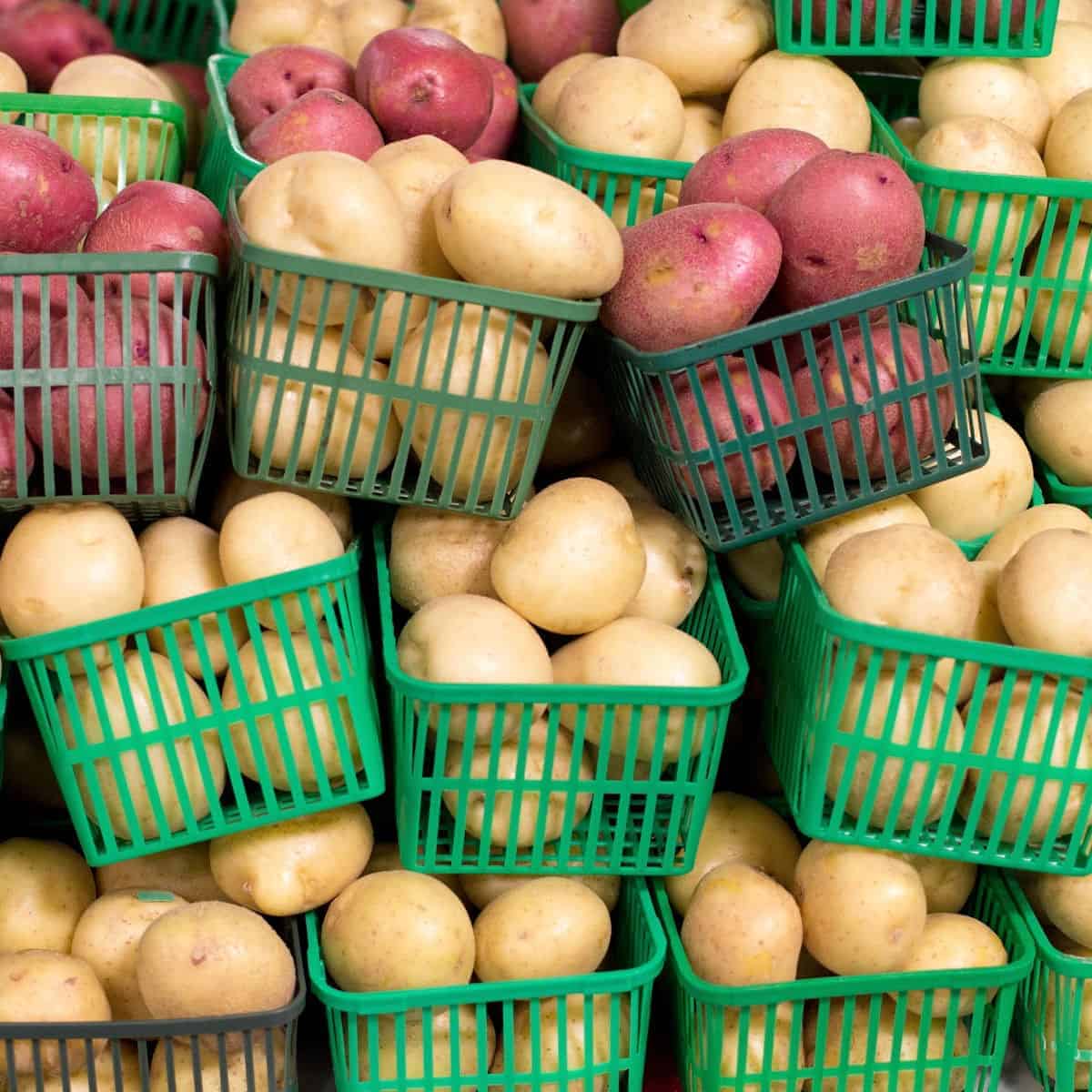 Stacks of red and gold potatoes in green plastic baskets.