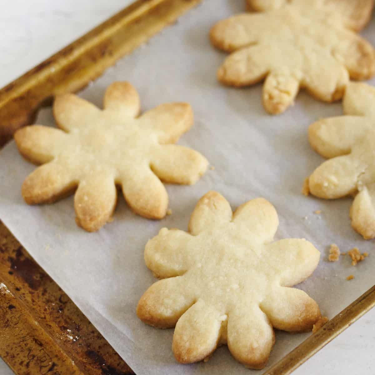 Easy Butter Cookies Recipe for One