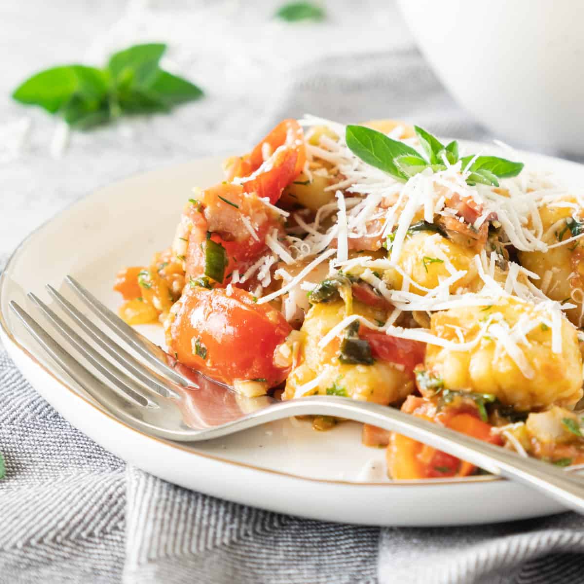 Plate of potato gnocchi in a creamy pesto and fresh tomato sauce topped with Parmesan cheese.