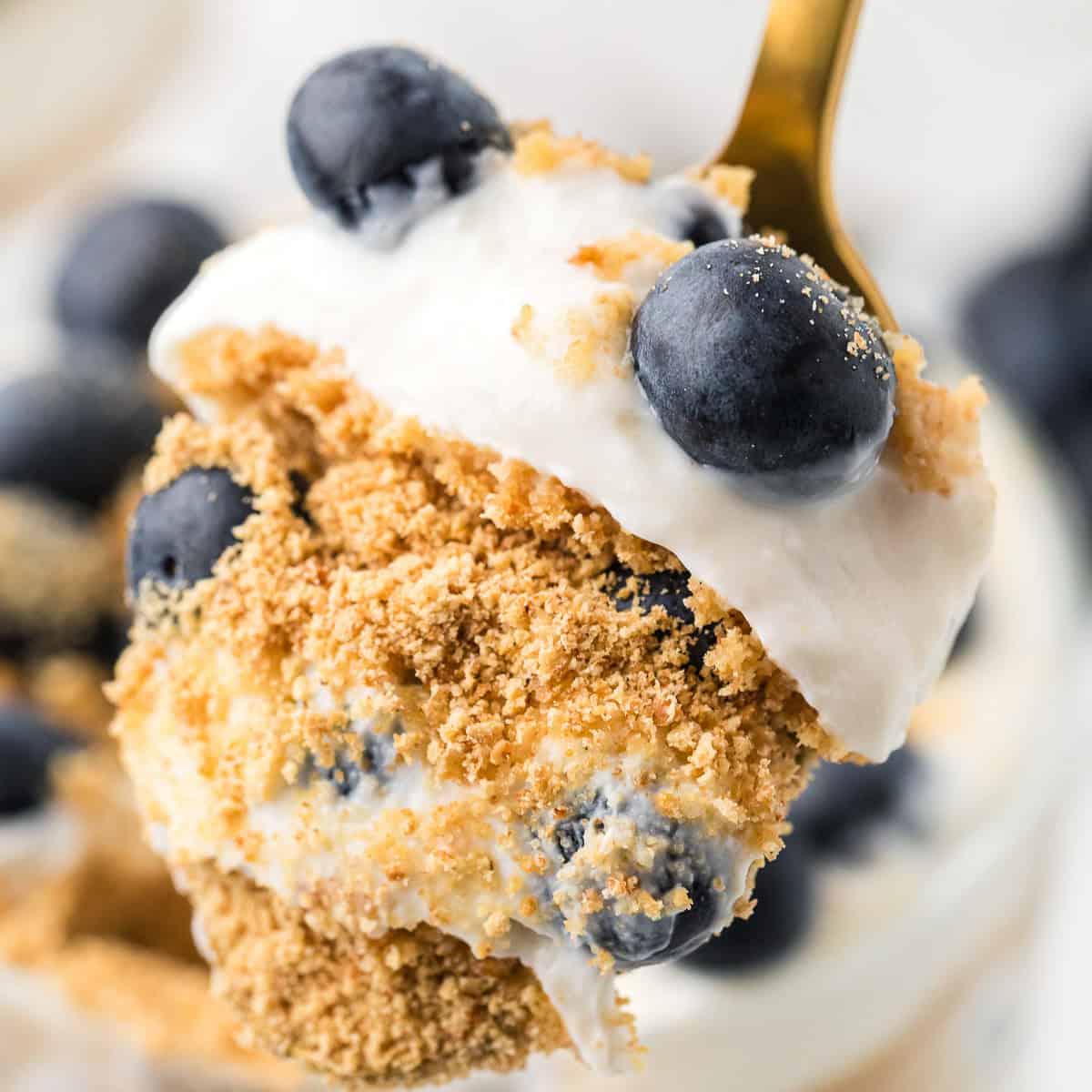 A close-up of a dessert spoonful with blueberries, whipped cream, and crushed graham crackers.