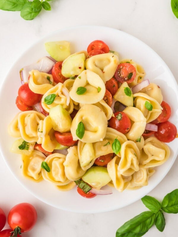 Refreshing Single-Serving Tortellini Salad Recipe