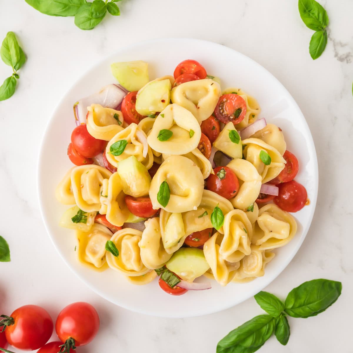 A white plate of tortellini pasta salad with cherry tomatoes, avocado, red onion, and fresh basil, on a white marble surface.