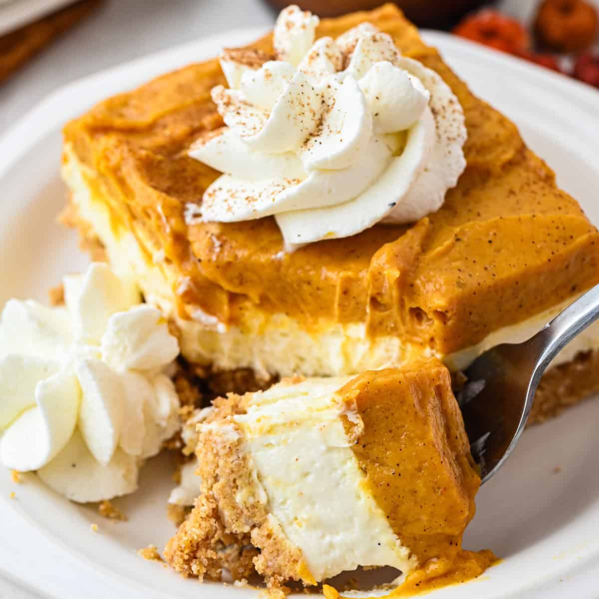 A fork holds a piece of layered pumpkin cheesecake with a graham cracker crust and whipped cream on top, served on a white plate.